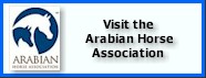 Visit The Arabian Horse Association